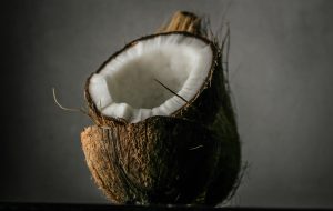 Detailed still life of a freshly opened coconut showcasing its texture and rich interior.